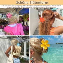 Pack of 6 Hawaii Flower Hair Clips, 8 cm Plumeria Flower Clip (Matte Colourful Flowers, 6 Pieces)