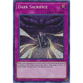 Yu-Gi-Oh! - Dark Sacrifice - BLHR-EN056 - Secret Rare - 1st Edition - Battles of Legend: Hero's Revenge