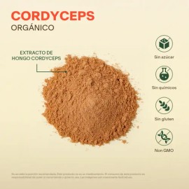 Extracto Hongo Cordyceps Orgánico En Polvo 100g  100 Porciones  Hongo Adaptogeno Nootropico  Suplemento Alimenticio Libre De Gluten, Vegano, Apto...  
