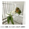 Set of 2 Birdcage Food Nippers Food Holder Clip Vegetables