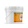 Unpretentious Pumpkin Powder, 1 Gallon, Baking & Food Additive, Superfood,