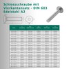 DSM - Carriage Bolts M8 x 16 mm DIN 603