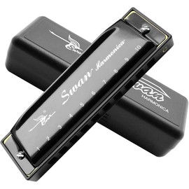 Harmonica Armonica Mouth Organ Blues Harmonica Key of C 10 Hole 20 Tone Polyphony Diatonic Harp with Case for Blues Folk Jazz Pop for Music Student Teacher Teaching Beginner:_red