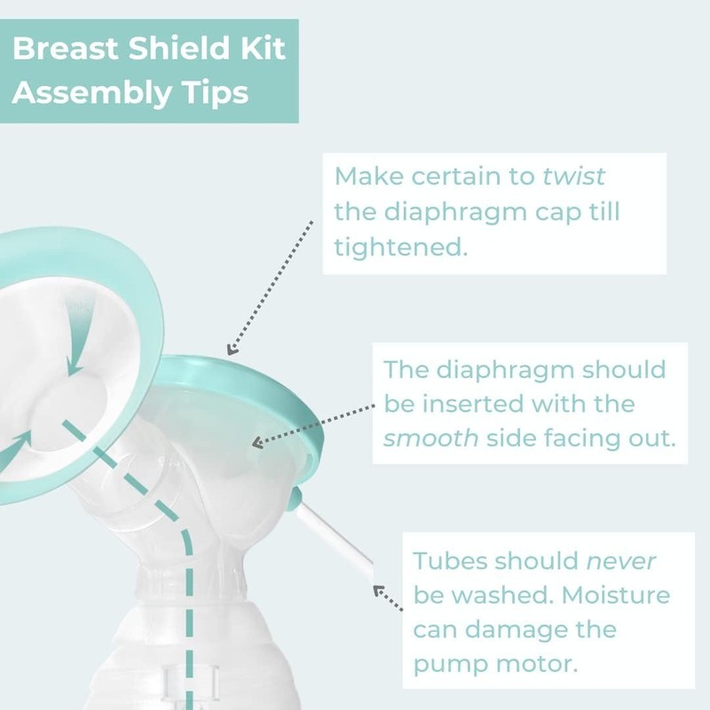 Zomee Flex Breast Nipple Shield Latch Assistance Inverted or Flat-