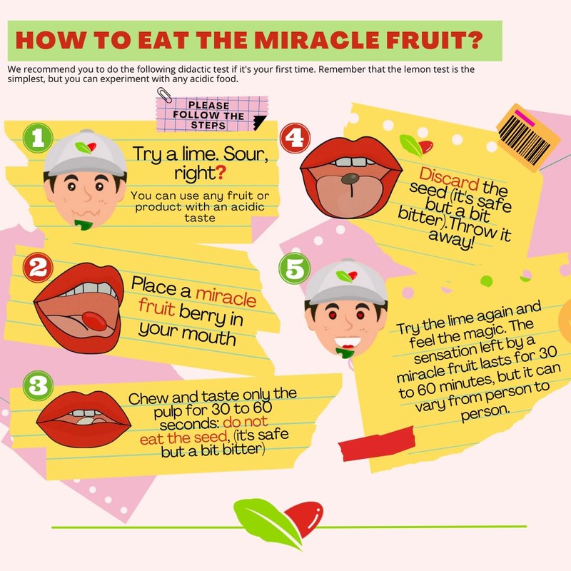 zafru Miracle Berry - Miracle Fruit - Freeze-Dried Flavor-Changing Berry