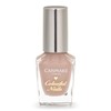 Canmake Colorful Nails N17 Cream Chai, 0.3 fl oz (8