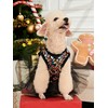 QWINEE Sparkly Sequin Dog Dress Cute Puppy Dress Skirt Tutu