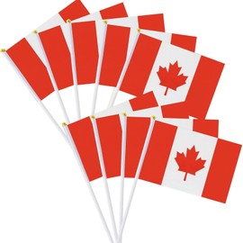 25 Pack Small Canada Flag, Handheld Canadian Maple Leaf Flags with Plastic Sticks, National Day Celebration Party Decorations Supplies For Outdoor Parades, World Cup, Festival Events, 5.5x8.3inch/14x21cm
