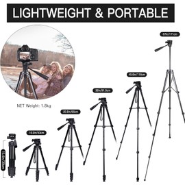 Camera Tripod for Canon Nikon Sony, LINKCOOL 67 Inch Lightweight DSLR Tripod Camera Stand with Detachable 3 Way Pan Head, Remote & Universal Phone Mount