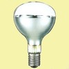 Iwasaki RF110V 500W Eye Lamp for Outdoor Floodlight, Flood Type, E39 Base