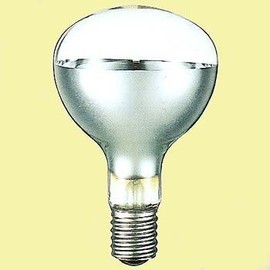 Iwasaki RF110V 500W Eye Lamp for Outdoor Floodlight, Flood Type, E39 Base