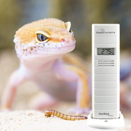 Technoline MA 10200 + Gateway Temperature and Humidity Monitoring for Terrariums / Greenhouses, White, 3.8 x 2.1 x 12.8 cm