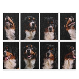 Bernese Mountain Dog Collage - Jigsaw Puzzle for Kids, Adults, Family and Friends (500 pcs)