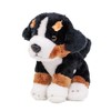 Teddys Rothenburg Cuddly Toy Bernese Mountain Dog Small Sitting 15