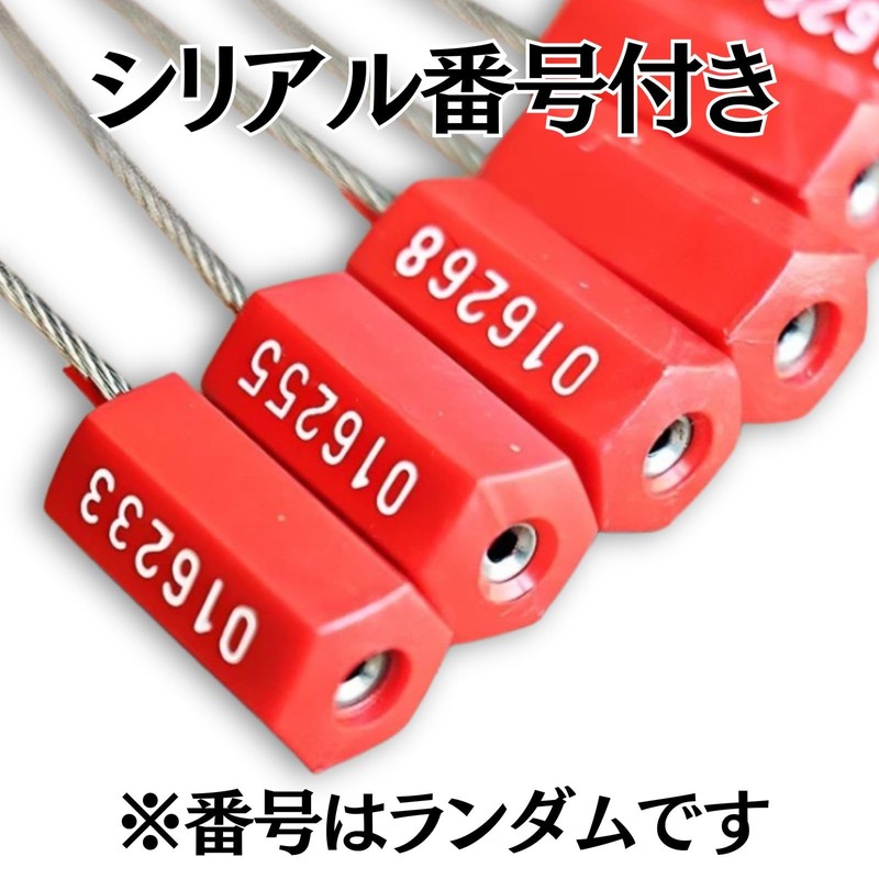 Leap Raupe [With Serial Number] Anti-Swap Tag, Numbered Security Tag,