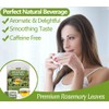 Premium Rosemary Tea Bags, 100 Teabags. Made with 100% Pure