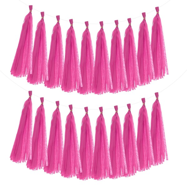 MECCANIXITY 20Pcs Tassel Garland Banner Tissue Paper for Streamers Party