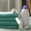 Awleynz Secret Money Safe Lint Roller, White and Grey, Hidden