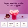 Blume SuperBelly Gut Health & Hydration, Sugar-Free, Açai Pomegranate, 15