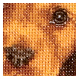 Thea Gouverneur - Counted Cross Stitch Kit - Christmas Puppy - Aida - 16 Count - Embroidery Kit for Adults - DMC Embroidery Threads and Other Cross Stitch Supplies Included - 730A