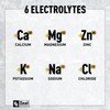 Zeal Electrolyte Powder - 90 Servings | Keto Electrolytes Powder