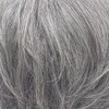 All Mrs. Minimalist Short Heat Resistant Gray Hair