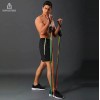 Importeek Bandas Ligas Resistencia Elastica Ejercicio Fitness Gimnasio
