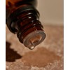 Essenc herb Essential Herb Tea Tree 100 Oil 10ml x