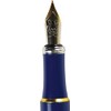 Falling Blossoms Fountain Pen with Gift Box (includes universal cartridge