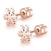 Snowflake Stud Earrings for Women Girls Titanium Screw Back Stud