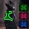 Dlitk Light Up LED Dog Harness With Handle - Rechargeable,