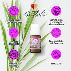 Ga Tlali Aceite Esencial de Citronela 10 ml | Hecho a Mano en Oaxaca | Aroma Refrescante para Aromaterapia o Cuidado Personal | Natural, Vegano y Libre de Parabenos