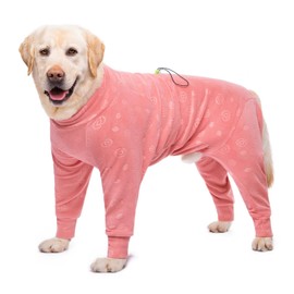 Dog Coats Autumn Winter Jumpsuit for Large Medium Dogs, Warmer Recovery Suit Polar Fleece Dog Bodysuit Lightweight Pajamas Pullover Stretchy Onesie Four-Legged Cold Weather Clothes (Pink, X-Large)