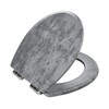 Toilet Seat, Slow Close, Premium Moulded Wood, Quick Release, Slate