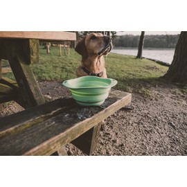 Beco Pets Travel Bowl, Collapsible and Expandable Food and Water Bowl for Dogs, BPA-Free, Food Grade Silicone, Green Medium