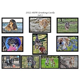 Aussie Rescue - Notecards (2022 pack 2)