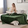 SOCHOW Sherpa Fleece Throw Blanket, Double-Sided Super Soft Luxurious Plush