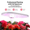 Litake 12 Pods Hydroponics Growing System Indoor Garden with 3