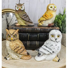 Ebros Colorful Nocturnal Owls of The World Miniature Figurine Set of 4 Whimsical Forest Owl Bird Themed Accent Snow Barn Great Horned Species Hand Painted Resin Sculptures