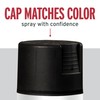 Rust-Oleum 7798830 Stops Rust Spray Paint, 12 oz, Semi-Gloss Black
