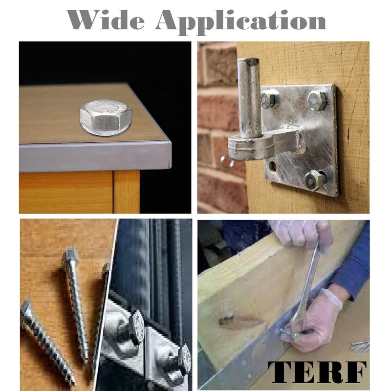 TERF® M8 X 65mm Coach Screws Hex Head Stainless Steel