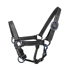 Equitem Foal Size Leather Halter with Steel Plated Hardware (Black)