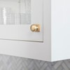 Goo-Ki Champagne Bronze Zinc Alloy Cabinet Knob with Backplate -