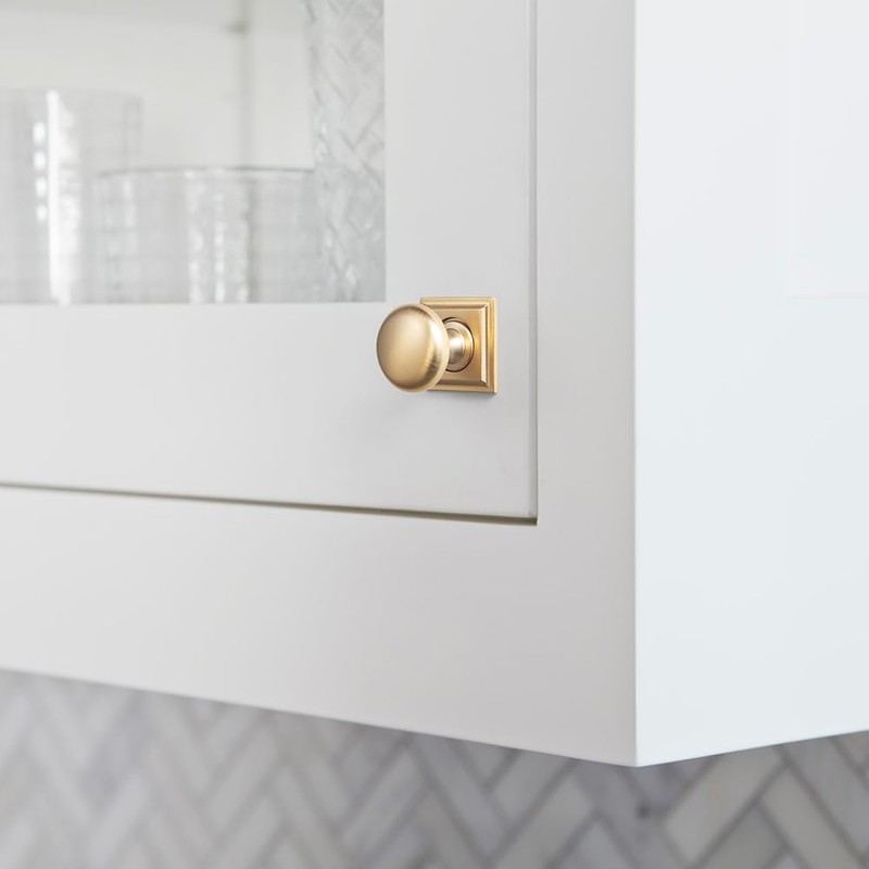 Goo-Ki Champagne Bronze Zinc Alloy Cabinet Knob with Backplate -