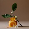 Aromatica (Pore Exfoliating Care) Glow Vita Facial Scrub Orange &