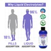 RnA ReSet ReMyte – Electrolyte Mineral Solution with Magnesium, Iodine,
