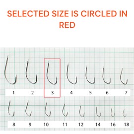 PRO FILSTAR 20 Piece Fishing Hook Set N3 - Carp Fishing Hooks - Carp Fishing Accessories - Barbed Carp Hooks - Carp Fishing Reversed Hooks - Carp Rigs - Fishing Accessories - Method Feeder -