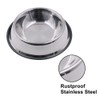 Steel Dog Bowl with Rubber Base for Small Medium and