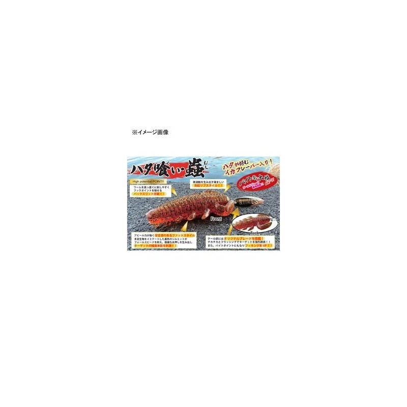 Rudie's Worm Grouper Bug 2" Akakin