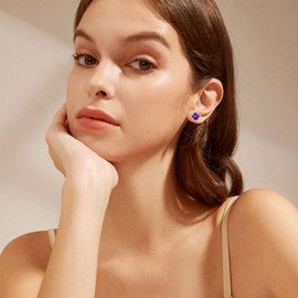 14K Solid Gold Birthstone Stud Earrings for Women, Yellow Gold Classic 4-Prong Set Brillant Round Cut Simulated Diamond Stud Earrings Women Jewelry Gifts February